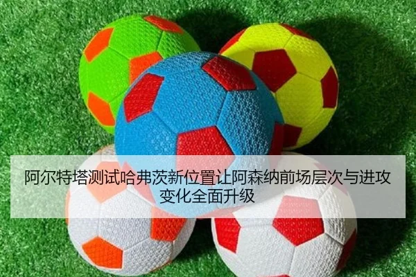 img_1783776796087_409_1_285.jpg